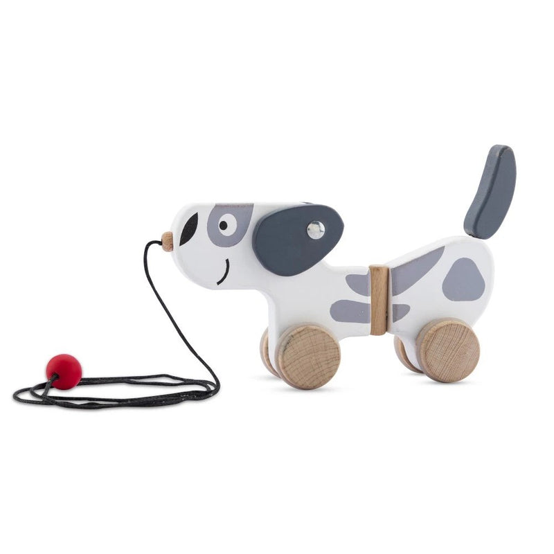 Pull Along Dog Flyi.