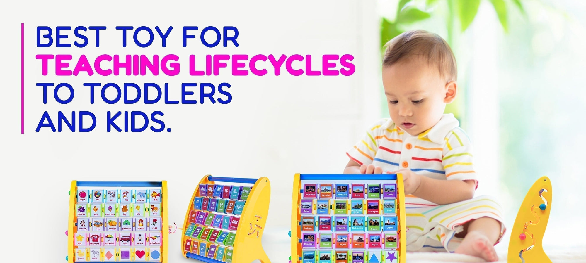 Best Toy for Teaching Lifecycles to Toddlers and Kids