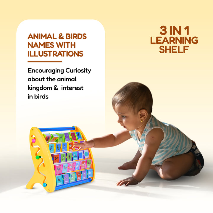 Fun educational toys