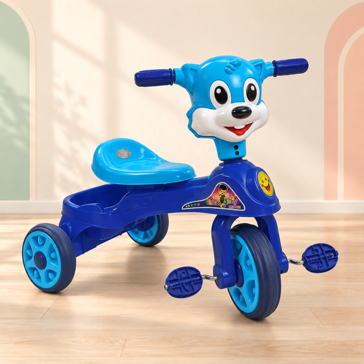Chikoo Tricycle for Kids | FLYI