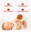 Rattle Ball Teether Toy – Safe & Engaging Baby Development Toy