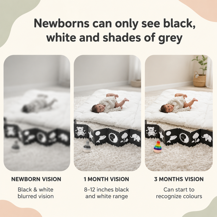 An informational graphic with the headline 'Newborns can only see black, white and shades of grey' above three vertical panels showing a baby lying on a white quilted mat with a black patterned border. The left panel is labeled 'Newborn Vision' with blurred detail, the middle '1 Month Vision' with clearer detail and a small toy, and the right '3 Months Vision' with the baby recognizing colors.