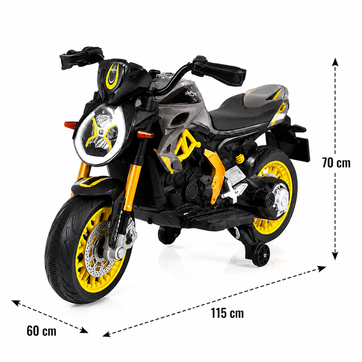 SPORTS EV BIKE
