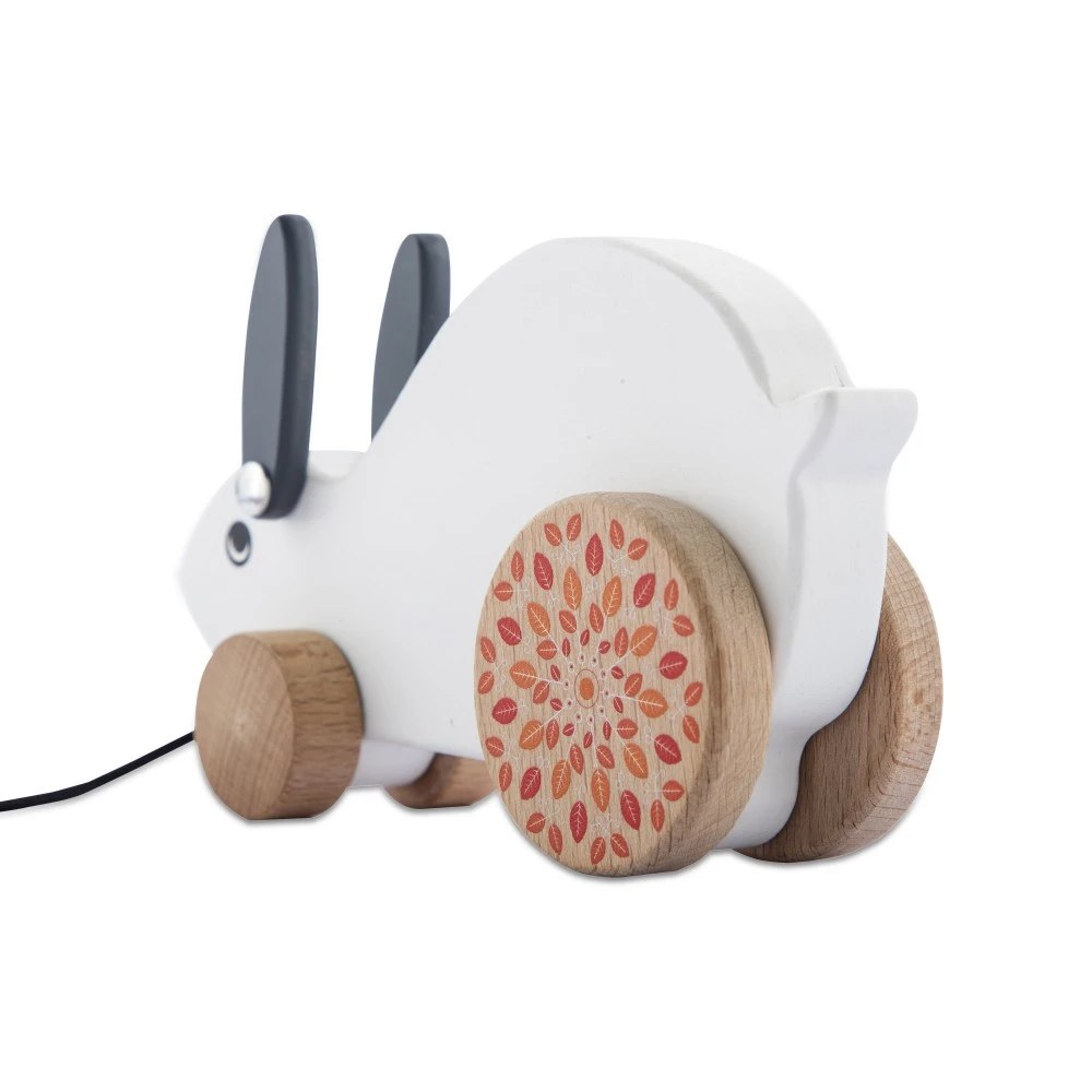 Pull & Play Rabbit  Flyi.