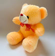 teddy bear for kids