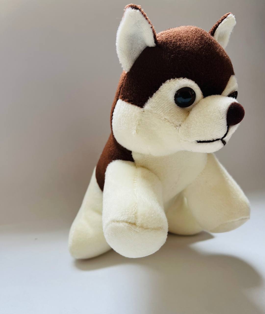 husky  | husky soft toy