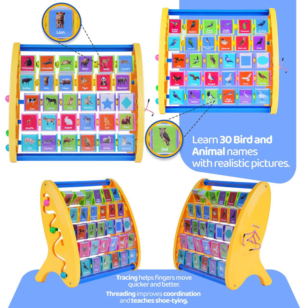 FLYI Animal and Bird Names English (3+ Years)