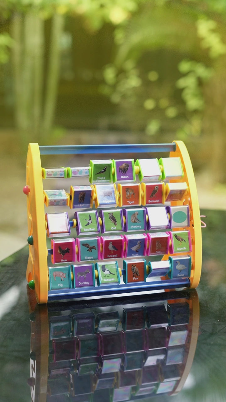 FLYI Animal and Bird Names English (3+ Years)